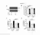 Fig. 15 - COMPOUNDS AND METHODS TO MEASURE METABOLIC FUNCTION AND RESTORE NORMAL METABOLIC FUNCTION