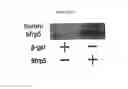Fig. 18 - COMPOUNDS AND METHODS TO MEASURE METABOLIC FUNCTION AND RESTORE NORMAL METABOLIC FUNCTION