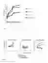 Fig. 03 - Chimeric antigen receptor and its use