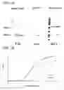 Fig. 02 - Human monoclonal antibodies specific for CD22