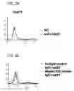 Fig. 06 - Human monoclonal antibodies specific for CD22