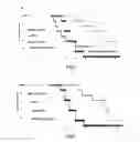 Fig. 03 - Method for reducing side effects of immune checkpoint control agent