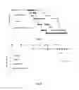 Fig. 04 - Method for reducing side effects of immune checkpoint control agent