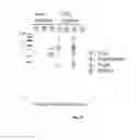 Fig. 08 - Fab FRAGMENT SPECIFICALLY BINDING TO EGFR