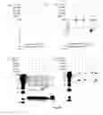 Fig. 19 - Fab FRAGMENT SPECIFICALLY BINDING TO EGFR