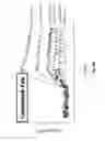 Fig. 22 - Fab FRAGMENT SPECIFICALLY BINDING TO EGFR