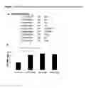 Fig. 02 - VCAM-1 mediated methods and compositions for treating aging-associated impairments