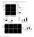 Fig. 04 - VCAM-1 mediated methods and compositions for treating aging-associated impairments