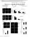Fig. 06 - VCAM-1 mediated methods and compositions for treating aging-associated impairments