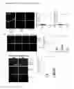 Fig. 10 - VCAM-1 mediated methods and compositions for treating aging-associated impairments
