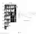 Fig. 08 - Chimeric antigen receptor hCD87-CAR and applications thereof
