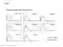 Fig. 05 - EPITOPES OF EPIDERMAL GROWTH FACTOR RECEPTOR SURFACE ANTIGEN
AND USE THEREOF