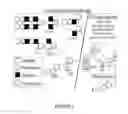 Fig. 02 - CHIMERIC ANTIGEN RECEPTORS RECOGNIZING CANCER-SPECIFIC TN GLYCOPEPTIDE VARIANTS