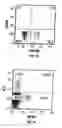 Fig. 03 - Anti-MCAM antibodies and associated methods of use
