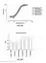 Fig. 45 - Anti-MCAM antibodies and associated methods of use