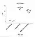 Fig. 46 - Anti-MCAM antibodies and associated methods of use