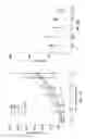 Fig. 47 - Anti-MCAM antibodies and associated methods of use