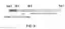 Fig. 04 - Antibody Substituting for Function of Blood Coagulation Factor VIII