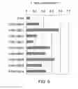 Fig. 06 - Antibody Substituting for Function of Blood Coagulation Factor VIII