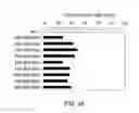 Fig. 25 - Antibody Substituting for Function of Blood Coagulation Factor VIII