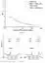 Fig. 11 - Long-chain branched polymers and production processes