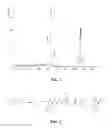 Fig. 05 - Polymers prepared using smart templates