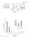 Fig. 06 - Polymers prepared using smart templates