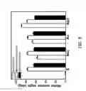 Fig. 09 - Methods of making crosslinked copolymer films from inimer-containing random copolymers