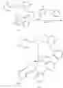 Fig. 45 - Group 8 transition metal catalysts and method for making same and process for use of same in metathesis reaction