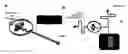 Fig. 01 - Methods of generating microparticles and porous hydrogels using microfluidics