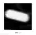 Fig. 04 - Metal oxide particles with uniform multi-layer polymer coatings