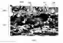 Fig. 08 - Print-on pastes for modifying material properties of metal particle layers