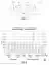 Fig. 02 - Ink composition and pre-treatment fixing fluid