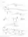 Fig. 02 - Water dispersible, self-crosslinkable prepolymer composition