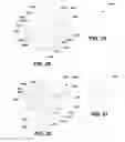 Fig. 10 - Abrasive particles having complex shapes and methods of forming same