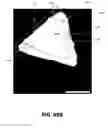 Fig. 29 - Abrasive particles having complex shapes and methods of forming same