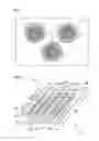 Fig. 04 - METHOD OF MANUFACTURING SURFACE-TREATED PHOSPHOR, SURFACE-TREATED PHOSPHOR, WAVELENGTH CONVERSION MEMBER, AND LIGHT EMISSION DEVICE