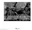 Fig. 08 - Narrow band red phosphor