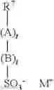 Fig. 06 - Co-Granulate of Enzyme and Bleach Catalyst