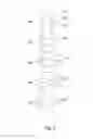 Fig. 03 - BIOREACTOR WITH SEPARATE CO2 SUPPLY