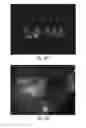 Fig. 10 - Method for stem cell differentiation in vivo by delivery of morphogenes with mesoporous silica and corresponding pharmaceutical active ingredients