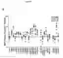 Fig. 04 - EXPANDED NK CELLS