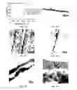 Fig. 02 - CARBON-NANOTUBE MODULATION OF MYOCYTE CELLS