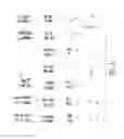 Fig. 06 - Mesenchymal stem cells derived from induced pluripotent stem cells