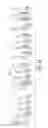 Fig. 14 - Mesenchymal stem cells derived from induced pluripotent stem cells