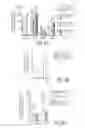 Fig. 18 - Mesenchymal stem cells derived from induced pluripotent stem cells