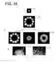 Fig. 15 - SELF-ASSEMBLING CELL AGGREGATES AND METHODS OF MAKING ENGINEERED TISSUE USING THE SAME
