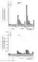 Fig. 05 - HBV polymerase mutants