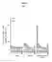 Fig. 07 - HBV polymerase mutants