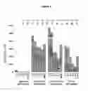 Fig. 08 - HBV polymerase mutants
